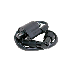 Bobina Ext MCT Ft 125/ Ft 150 Oem