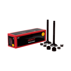 Jgo Valvulas MCT Ds150/Atv150/Ws150/Xs150